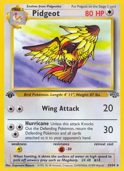 Pidgeot, Jungle, no. 24