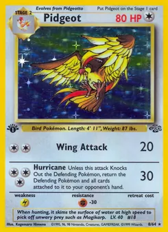Pidgeot, Jungle, no. 8