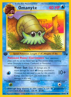 Omanyte, Fossil, no. 52