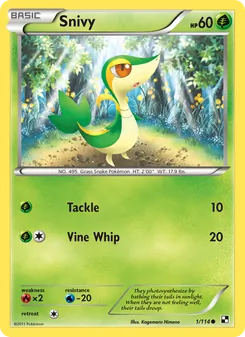 Snivy, Black & White, no. 1