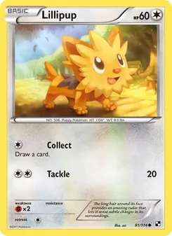Lillipup, Black & White, no. 81