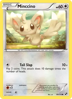 Minccino, Black & White, no. 88