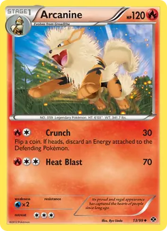 Arcanine, Next Destinies, no. 13