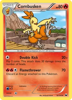 Combusken, Dark Explorers, no. 16