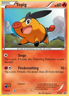 Tepig, BW Black Star Promos, no. BW07