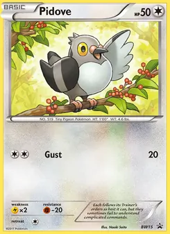 Pidove, BW Black Star Promos, no. BW15