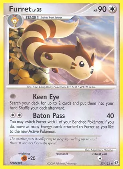 Furret, Secret Wonders, no. 27