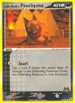 Team Magma's Poochyena, Team Magma vs Team Aqua, no. 65