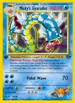 Misty's Gyarados, Gym Challenge, n° 13