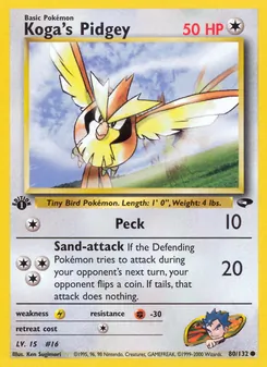 Koga's Pidgey, Gym Challenge, n° 80