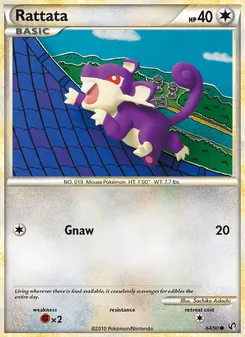 Rattata, Undaunted, no. 64