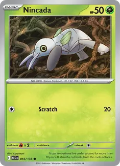 Nincada, Mega Evolution, no. 016
