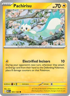 Pachirisu, Mega Evolution, no. 051