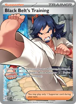 Black Belt's Training, Ascended Heroes, no. 255