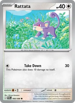 Rattata, Perfect Order, no. 060