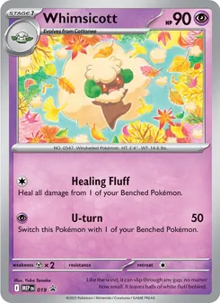 Whimsicott, MEP Black Star Promos, no. 019