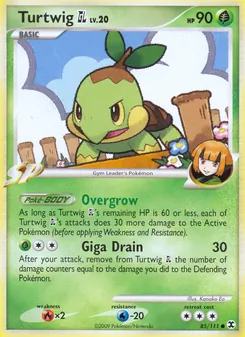 Turtwig GL, Rising Rivals, no. 85
