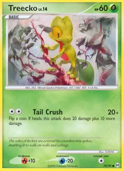 Treecko, Arceus, n° 78