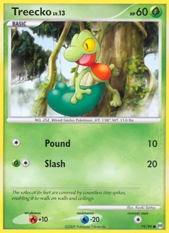 Treecko, Arceus, n° 79