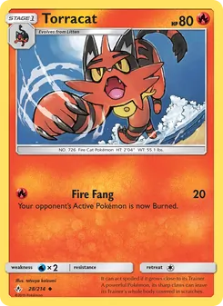 Torracat, Unbroken Bonds, no. 28