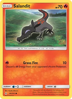 Salandit, Unbroken Bonds, no. 30