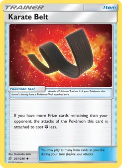 Karate Belt, Unified Minds, no. 201