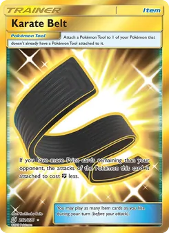 Karate Belt, Unified Minds, no. 252