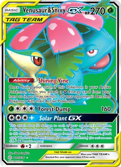 Venusaur & Snivy GX, Cosmic Eclipse, no. 210
