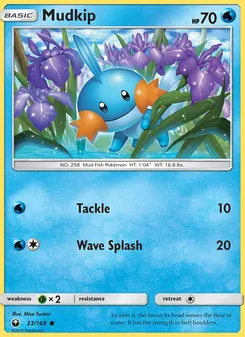 Mudkip, Celestial Storm, no. 33