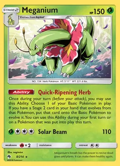Meganium, Lost Thunder, no. 8