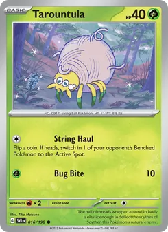 Tarountula, Scarlet & Violet, no. 016