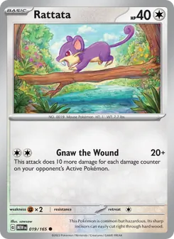 Rattata, 151, no. 019