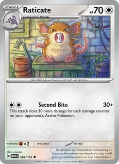 Raticate, 151, no. 020
