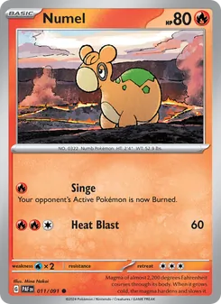 Numel, Paldean Fates, no. 011