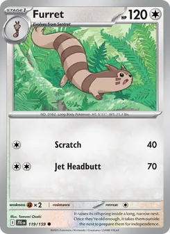 Furret, Journey Together, no. 119