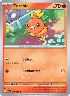 Torchic, Destined Rivals, no. 040