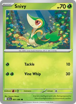Snivy, Black Bolt, no. 001