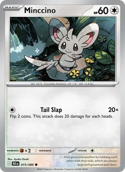Minccino, Black Bolt, no. 075