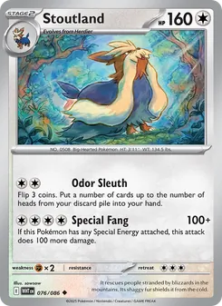 Stoutland, White Flare, no. 076