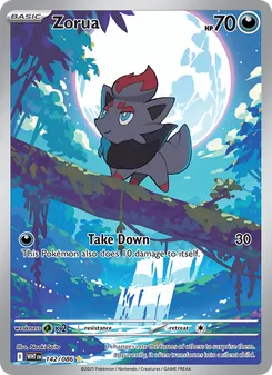 Zorua, White Flare, no. 142