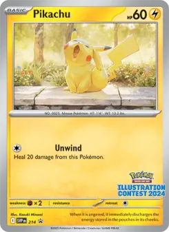 Pikachu, SVP Black Star Promos, no. 214