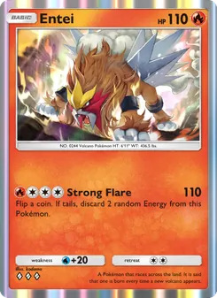 Entei, Sagesse Entre Ciel et Mer, n° 033