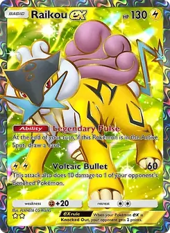 Raikou-ex, Source Secrète, n° 081