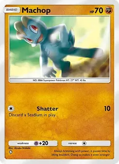 Machop, Fantastical Parade, n° 079