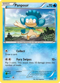 Panpour, Kalos Starter Set, no. 11