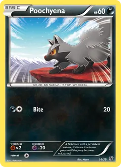 Poochyena, Kalos Starter Set, no. 16