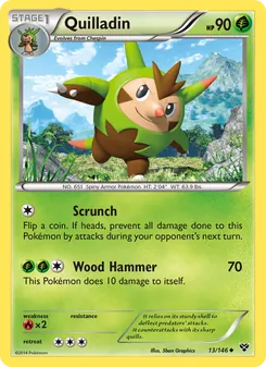 Quilladin, XY, no. 13