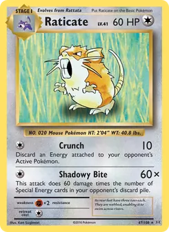 Raticate, Evolutions, no. 67