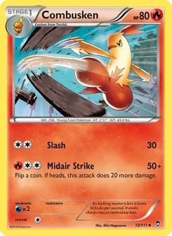 Combusken, Furious Fists, no. 13