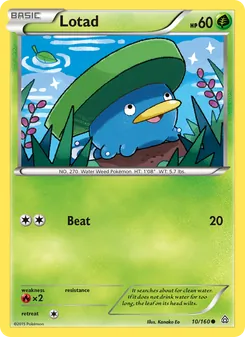 Lotad, Primal Clash, no. 10